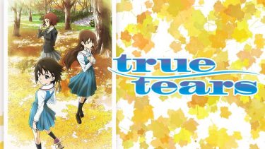 true tears(トゥルー ティアーズ)アニメ無料動画をフル視聴！KissAnimeやアニポ・B9もリサーチ